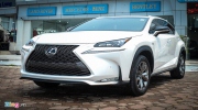Lexus NX 200t F Sport tại Hà Nội