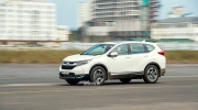 Toyota và Honda tạm ngừng xuất khẩu ôtô sang Việt Nam