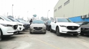 Xe lắp ráp chuẩn bị gì trước bão xe nhập "thuế 0%" ồ ạt về Việt Nam?