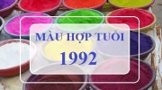 Tuổi Nhâm Thân 1992 mua xe màu gì?