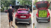 VinFast Fadil chất đầy rau muống đi tiếp tế mùa dịch