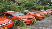 Giãn cách vì dịch, 200 chiếc taxi nằm chơi cho cỏ mọc kín