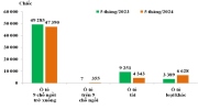 Tháng 5/2024, ô tô nguyên chiếc đăng ký tờ khai hải quan nhập khẩu tăng 29,2%