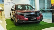 Subaru Forester tại Việt Nam không dính lỗi như thị trường Mỹ