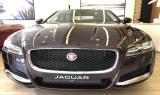Bán Jaguar XF Prestige 2020 cũ