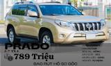 Bán Toyota Land Cruiser Prado 2010 cũ